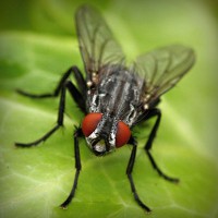 /album/geografia-y-medio-ambiente/photolia-a01-jpg/