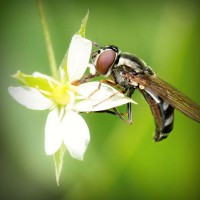 /album/geografia-y-medio-ambiente/photolia-a02-jpg/