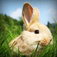 /album/geografia-y-medio-ambiente/photolia-a03-jpg/