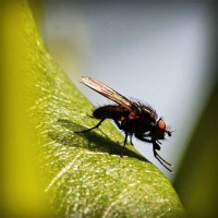 /album/geografia-y-medio-ambiente/photolia-a04-jpg/