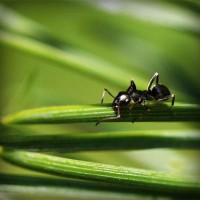 /album/geografia-y-medio-ambiente/photolia-a05-jpg/