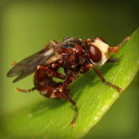 /album/geografia-y-medio-ambiente/photolia-a06-jpg/