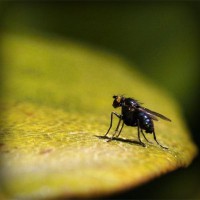 /album/geografia-y-medio-ambiente/photolia-a07-jpg/