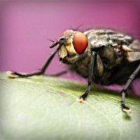 /album/geografia-y-medio-ambiente/photolia-a08-jpg/